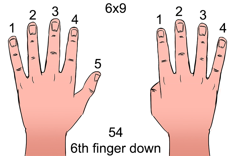 the 6th finger bent down would give 54, See!